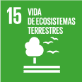 Biosphere - ODS - 15 Vida d'ecosistemes terrestres