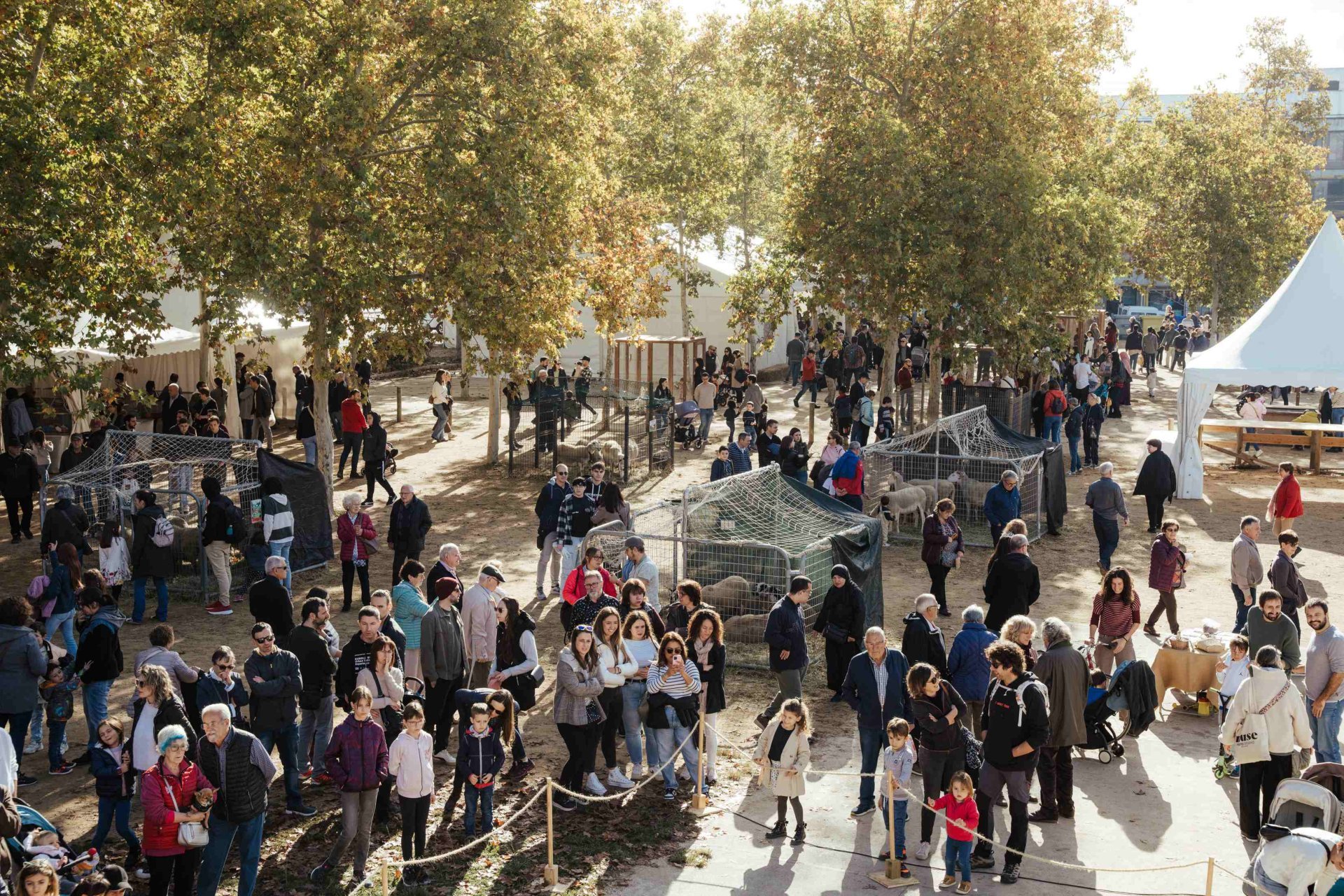 Feria Sant Martirià en Banyoles (Firasantmartiria Banyoles_mostra Races Autoctones Laurabatlles)