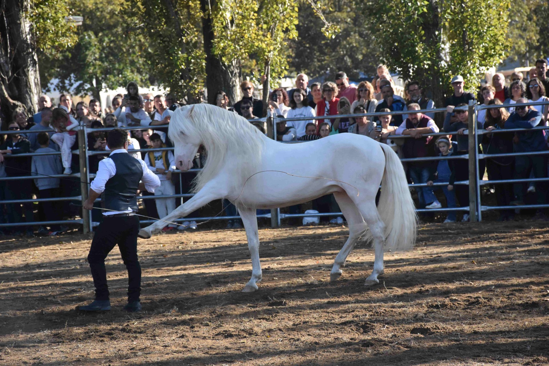 Feria Sant Martirià en Banyoles (Firasantmartiria Banyoles_doma Natural_2 Mireiafigueras)