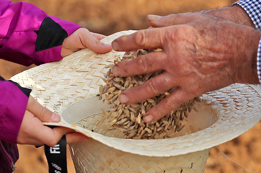 Firat de lEspelta a Mollet del Vallès (C5fd7340 5ce2 49ac 96be 8b9a5dad87a0_fira Espelta_web 1)