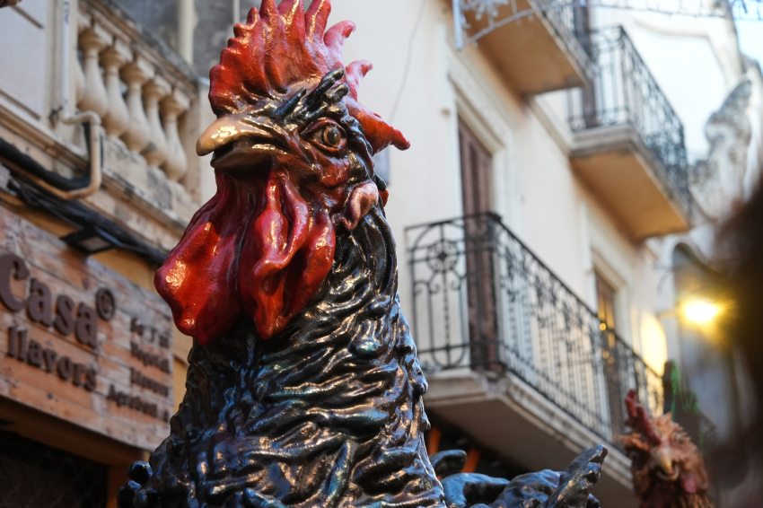 Feria del Gallo de Vilafranca del Penedès 2025 (Gall24 Fot Dia1_mati Lafatxenda 209 Copia)