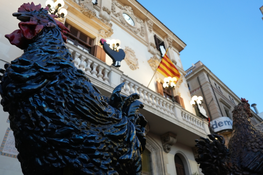 Feria del Gallo de Vilafranca del Penedès 2025 (Gall24 Fot Dia1_mati Lafatxenda 126 Copia)