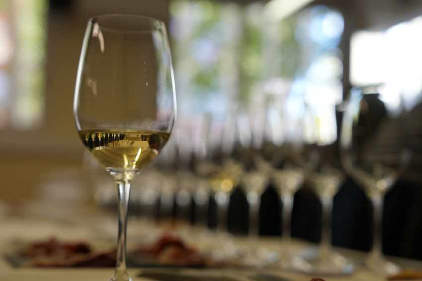 Feria del Gallo de Vilafranca del Penedès 2025 (Gall24 Fot Dia1_mati Lafatxenda 1251 Copia)