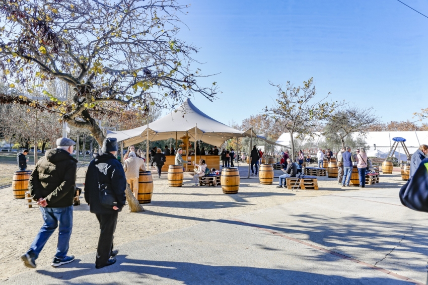 Vilafranca del Penedès Rooster Fair 2024 (Fira Del Gall 2023 0182)