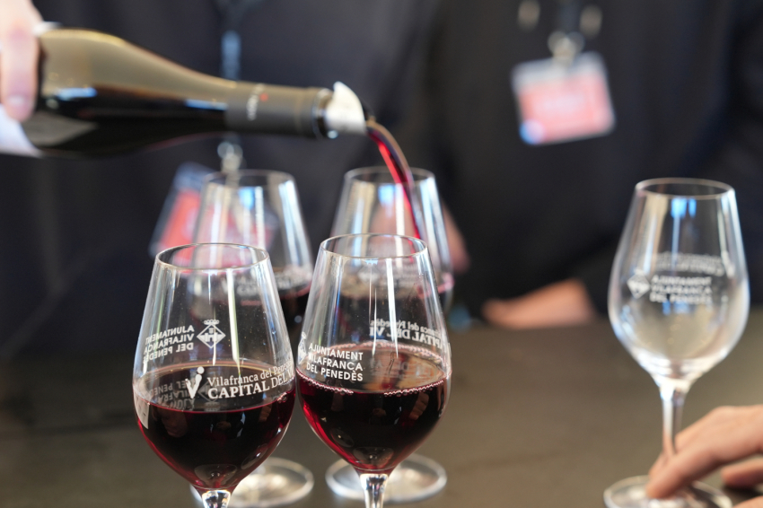 Feria del Gallo de Vilafranca del Penedès 2025 (Gall24 Fot Dia1_mati Lafatxenda 1671 Copia)