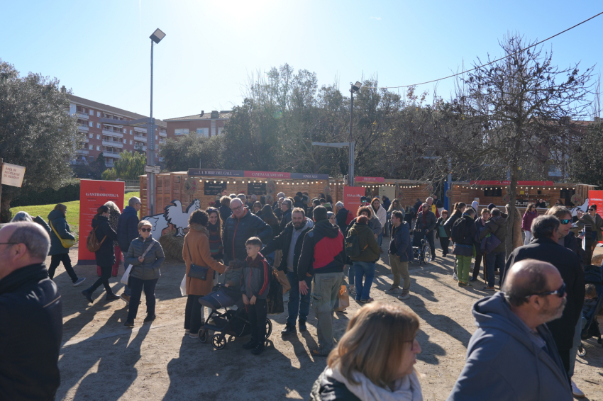 Feria del Gallo de Vilafranca del Penedès 2025 (Gall24 Fot Dia1_mati Lafatxenda 1704 Copia)