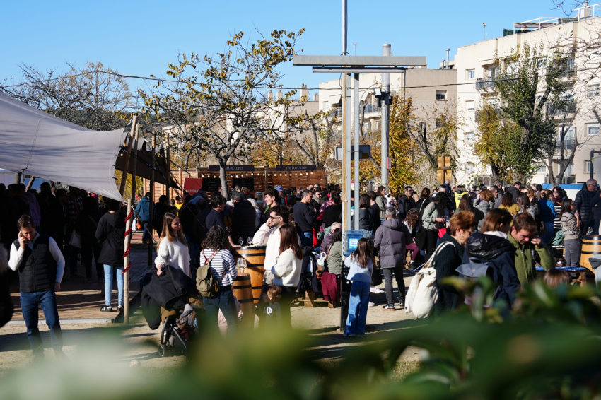 Feria del Gallo de Vilafranca del Penedès 2025 (Gall24 Fot Dia1_mati Lafatxenda 1764 Copia)