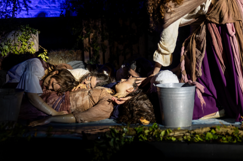 Fes-ta Bruixa a Sant Feliu Sasserra (54116862753_d29b939422_k)