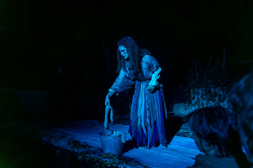 Fes-ta Bruixa a Sant Feliu Sasserra (54116863938_95254665ed_k 1)