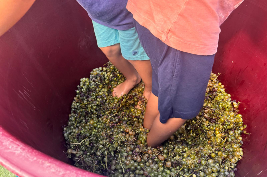 Torna la Verema del Cava! (Lvdc 2)