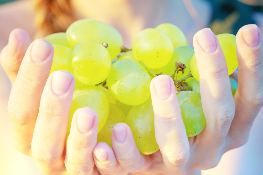 Torna la Verema del Cava! (Lvdc 12)