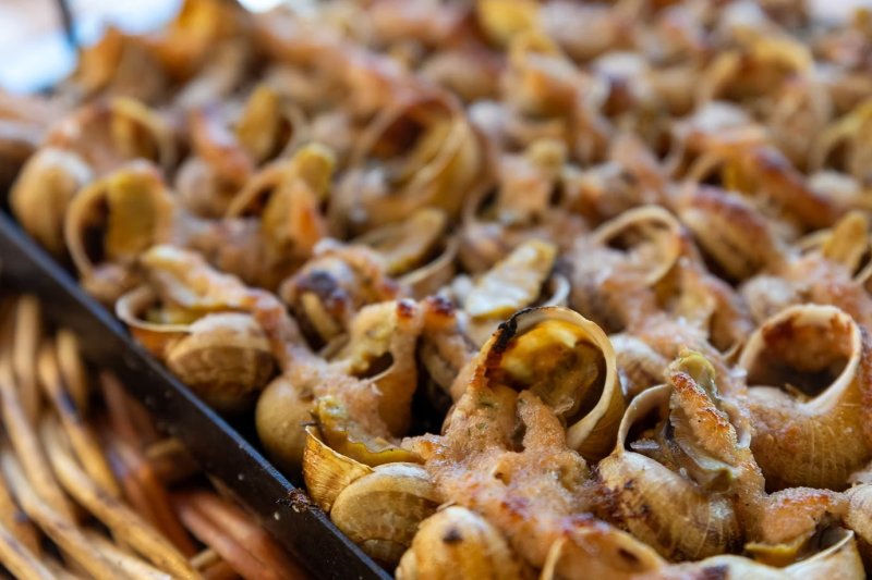 Snail Fair in Sentmenat (Cargol Fira Sentmenat)