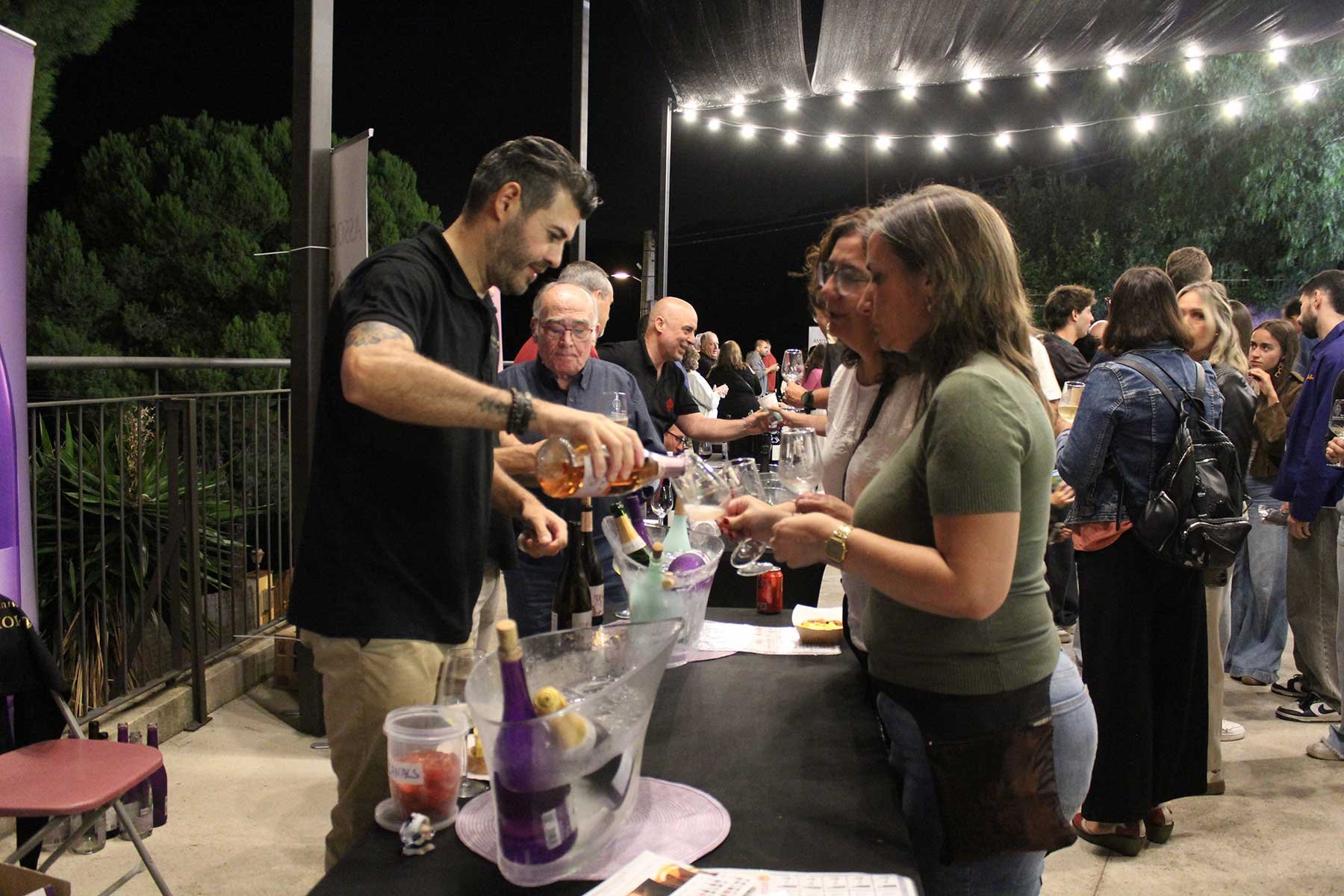 Tastets de Vi (Wine Tastings) Fair in Castellví de Rosanes (Fira Vi 11)