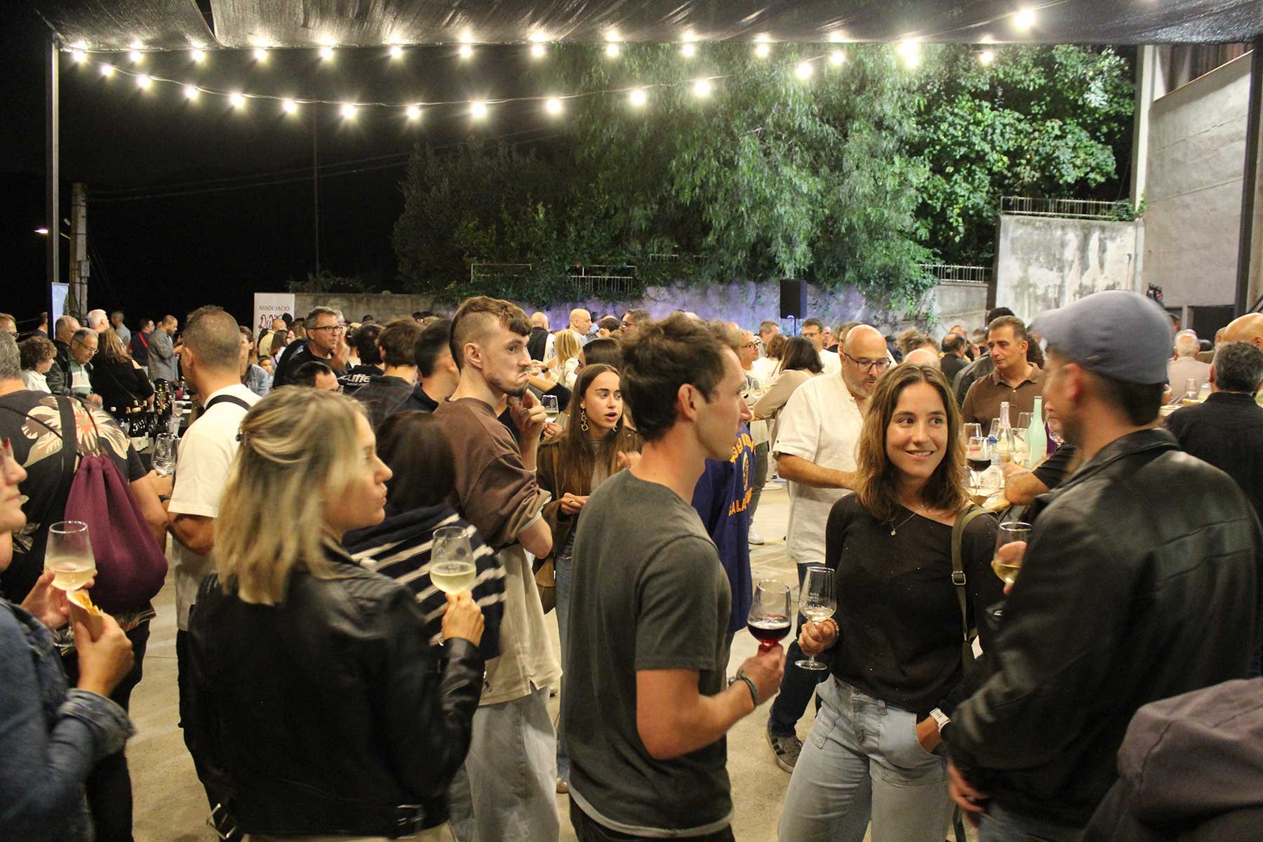 Tastets de Vi (Wine Tastings) Fair in Castellví de Rosanes (Fira Vi 12)