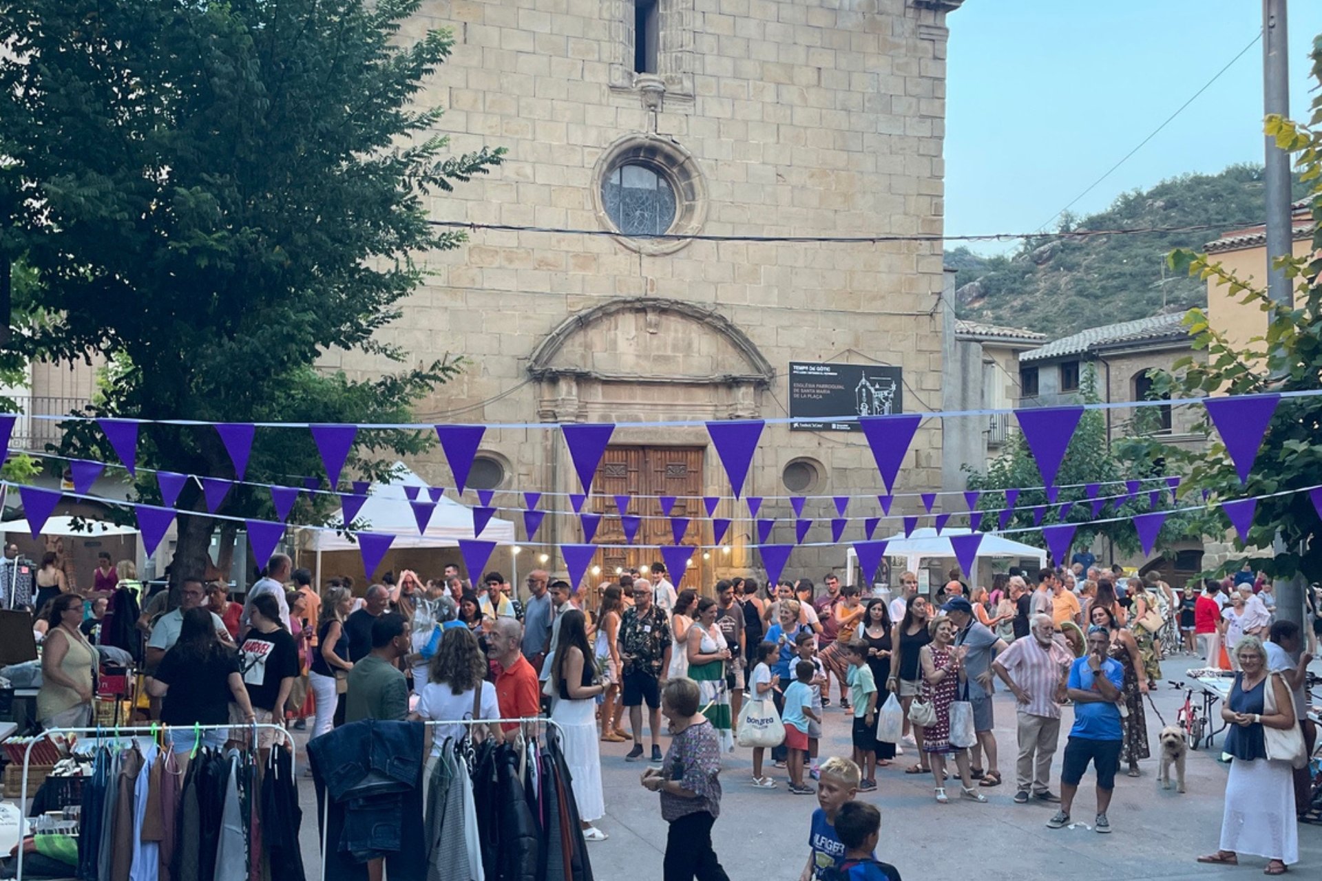 Flea Market Sanaüja 2026 (11 Flea Market)