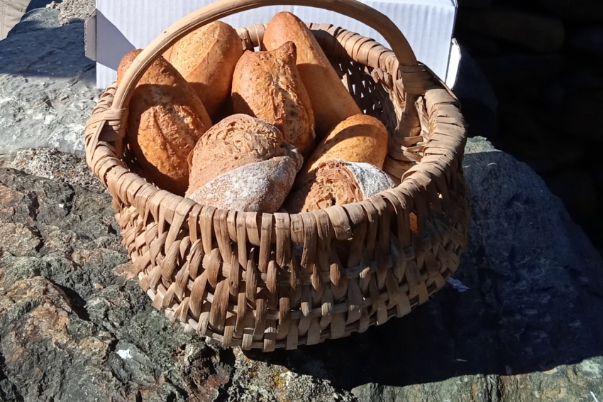 Guided tour of the Oridno Flour Mills (1636821424600)