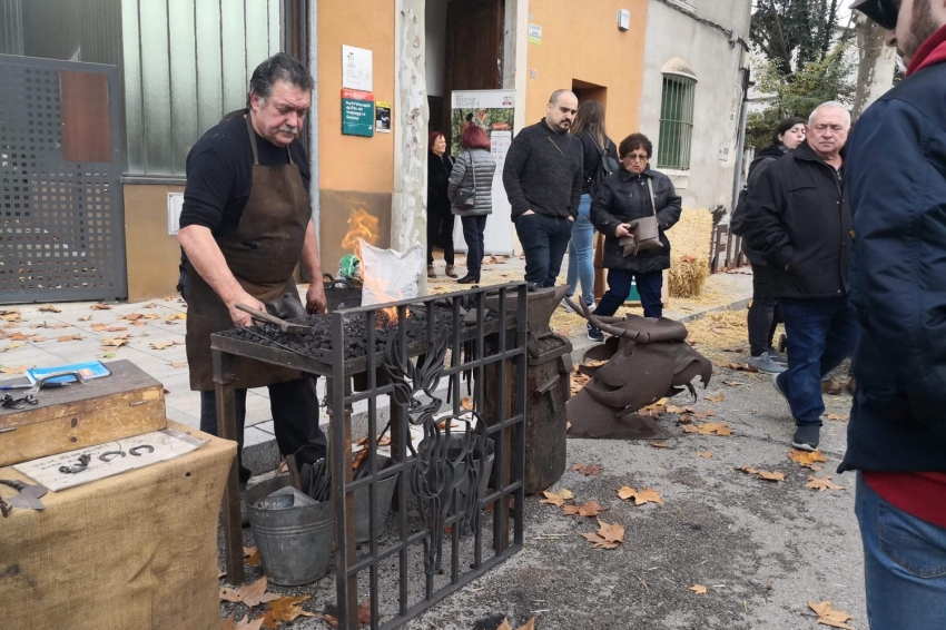 Fira del Bosc i la Pagesia a Vallgorguina (1000048833)