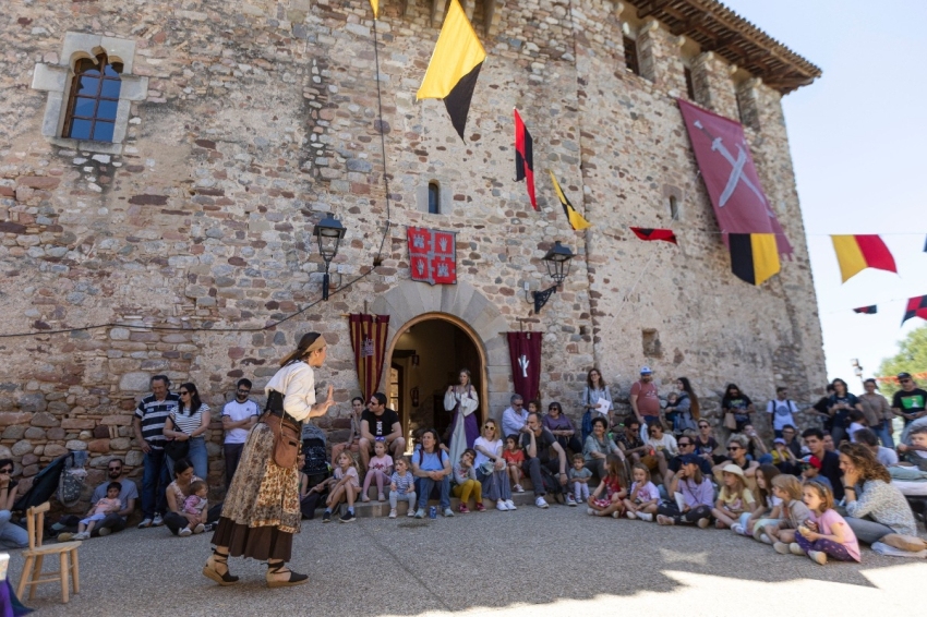 Mercat Medieval de Palau-solità i Plegamans (05 Palau Solita I Plegamans)