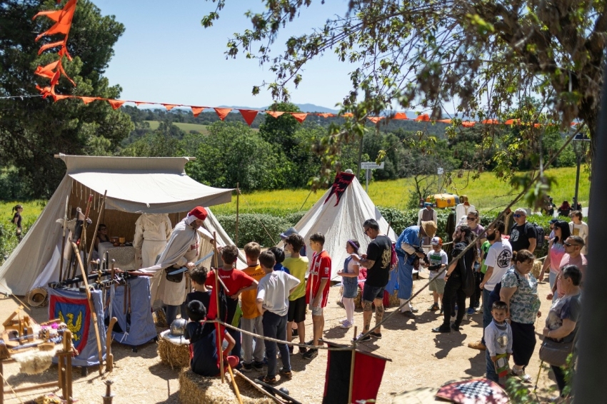 Mercat Medieval de Palau-solità i Plegamans (15 Palau Solita I Plegamans)