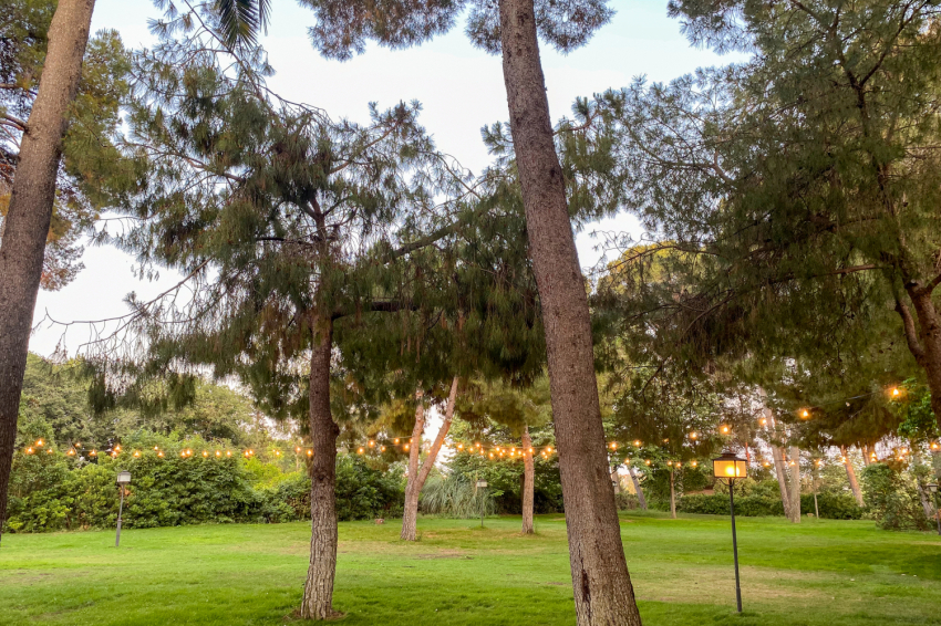 Festival del Jardí de La Boella, Mas La Boella (Festival Del Jardi De La Boella 4)