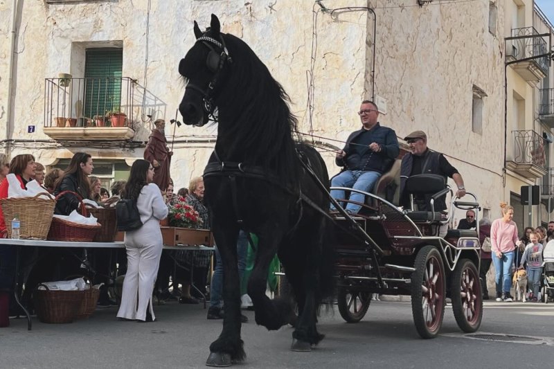 Fiesta de Sant Antoni en La Sénia (La Senia Sant Antoni 1)