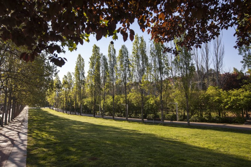 More natural spaces in Sant Cugat del Vallès (En_7_verd Comestible 1)