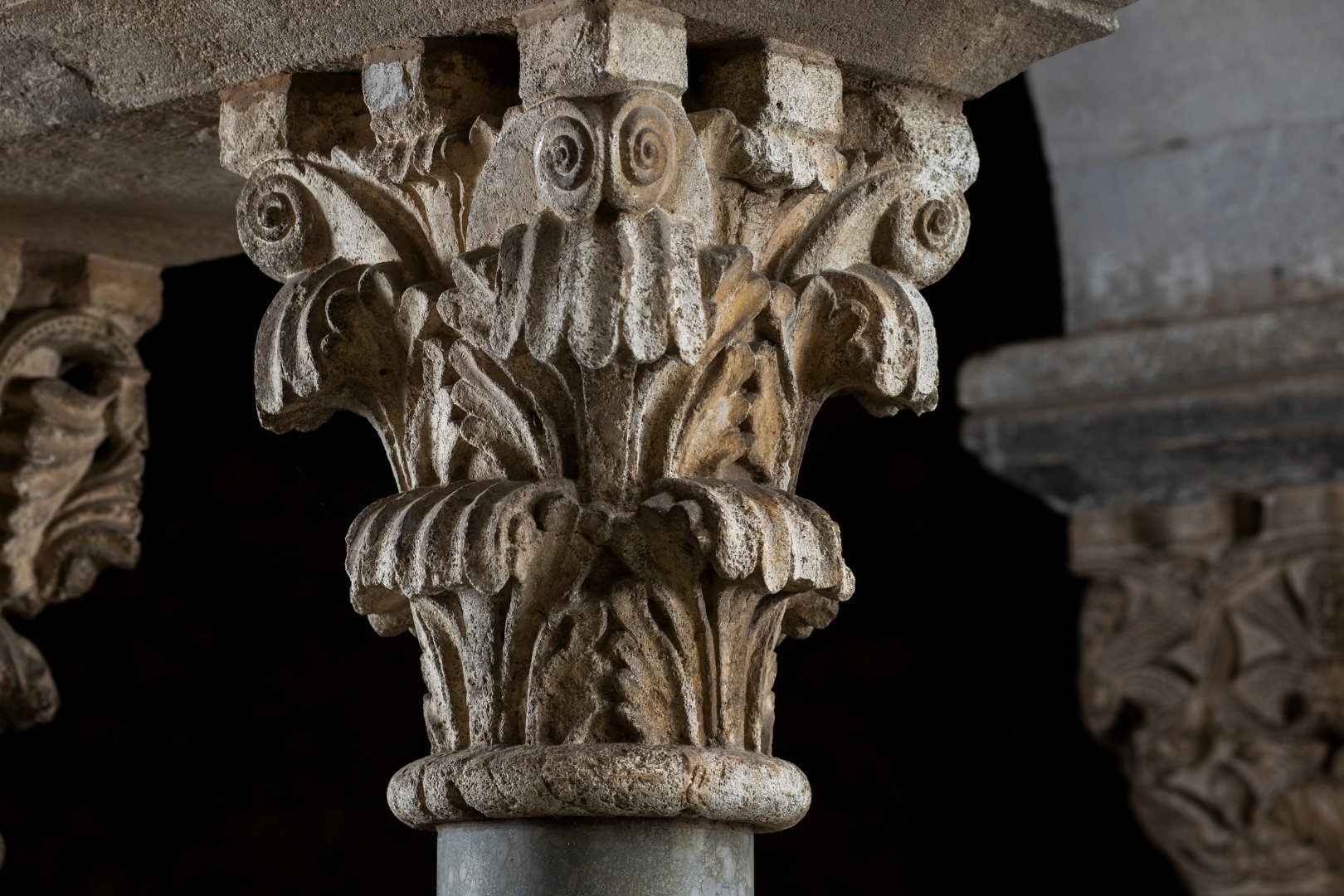 Visit: Monastic garden and plant capitals of the monastery cloister (Jardi Monastic_5)