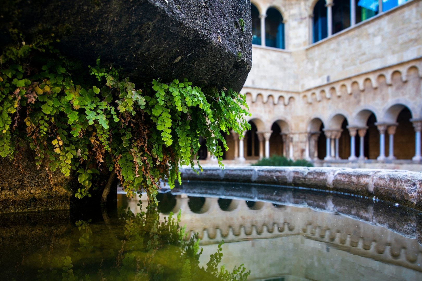 Visit: Monastic garden and plant capitals of the monastery cloister (Jardi Monastic_4)