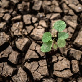 June 17, World Day to Combat Desertification and Drought