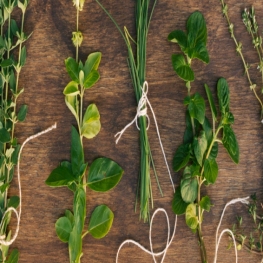 Fira d'Herbes Remeieres i Plantes Aromàtiques a Aiguafreda