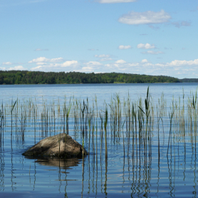 27 d'agost, Dia Mundial dels Llacs