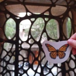 Gaudinian Animals and where to find them in La Pedrera!