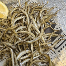 Cap de setmana del Sonso de l'Estartit