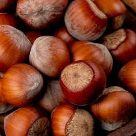 Chestnut Festival in Avià