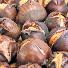 Castanyada Festival al Pla de Santa Maria