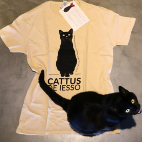Cattus Day in Guissona