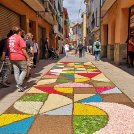 Natural Flower Carpet Competition in Arbúcies