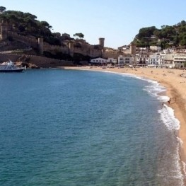 Discover playing marine biology in Tossa de Mar