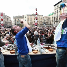 Festival of the Calçotada de Valls