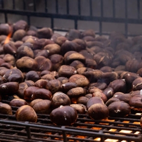 Chestnut Tree Festival in Lliçà d'Amunt