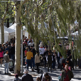 Fiesta del Otoño en Les Masies de Voltregà