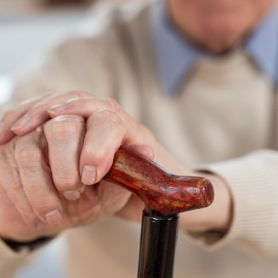 Old Age Festival in Montseny