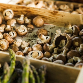 Mushroom Festival in Guardiola de Berguedà