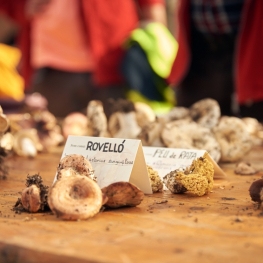 Mushroom Festival in Santa Susanna