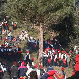 Fête du Pin de Centelles