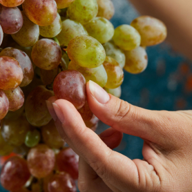 Fête du raisin à Masquefa
