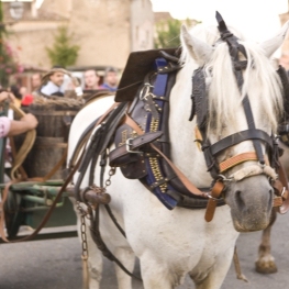 Fiesta del Vino y la Vendimia a la Antigua, Poboleda