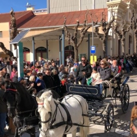 Festes de Sant Antoni Abat a Olesa de Montserrat