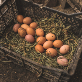 Fira de l'Ou de Sant Guim de Freixenet