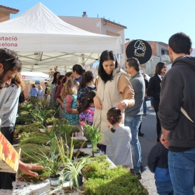 Feria del otoño en Castellví de Rosanes